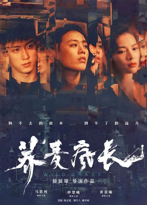 自由美术学院成绩单